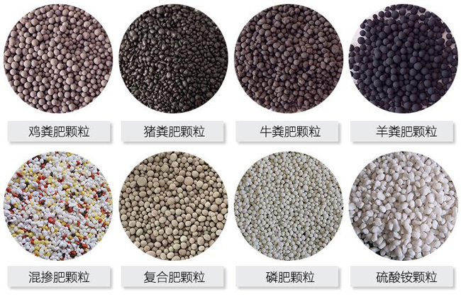 养猪场粪便怎么处理?小型猪粪有机肥生产线生产过程(图2) 有机肥颗粒成品颗粒